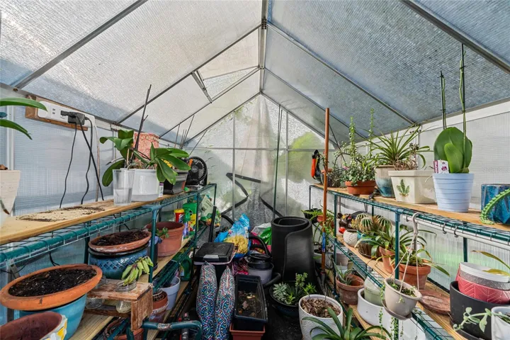 Inside Greenhouse