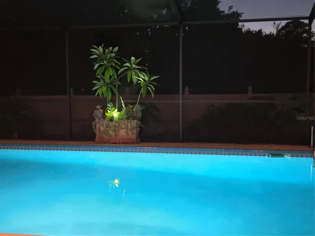 Pool at night. You decide the color you like!