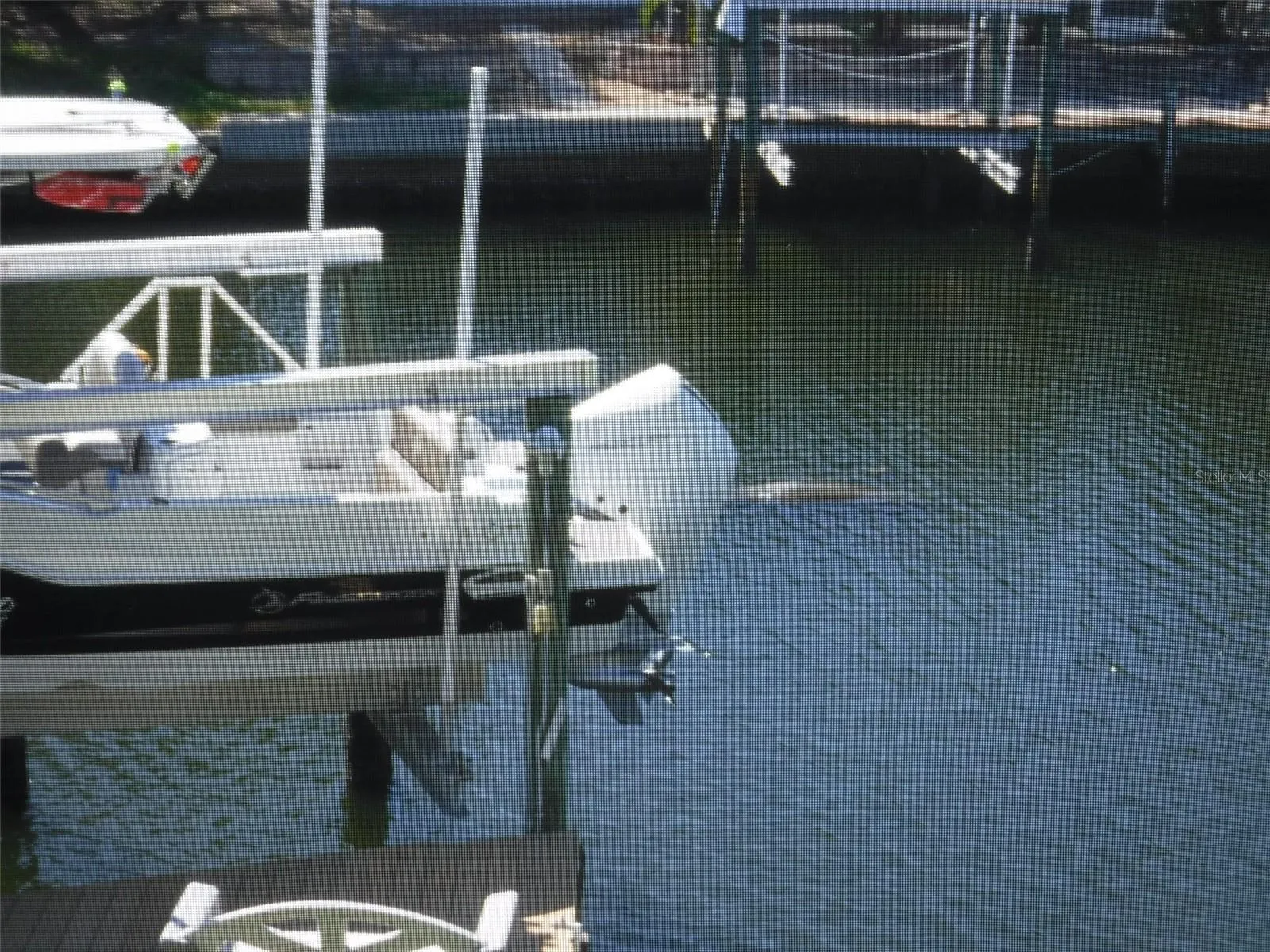 Manatee Floating in the Canal