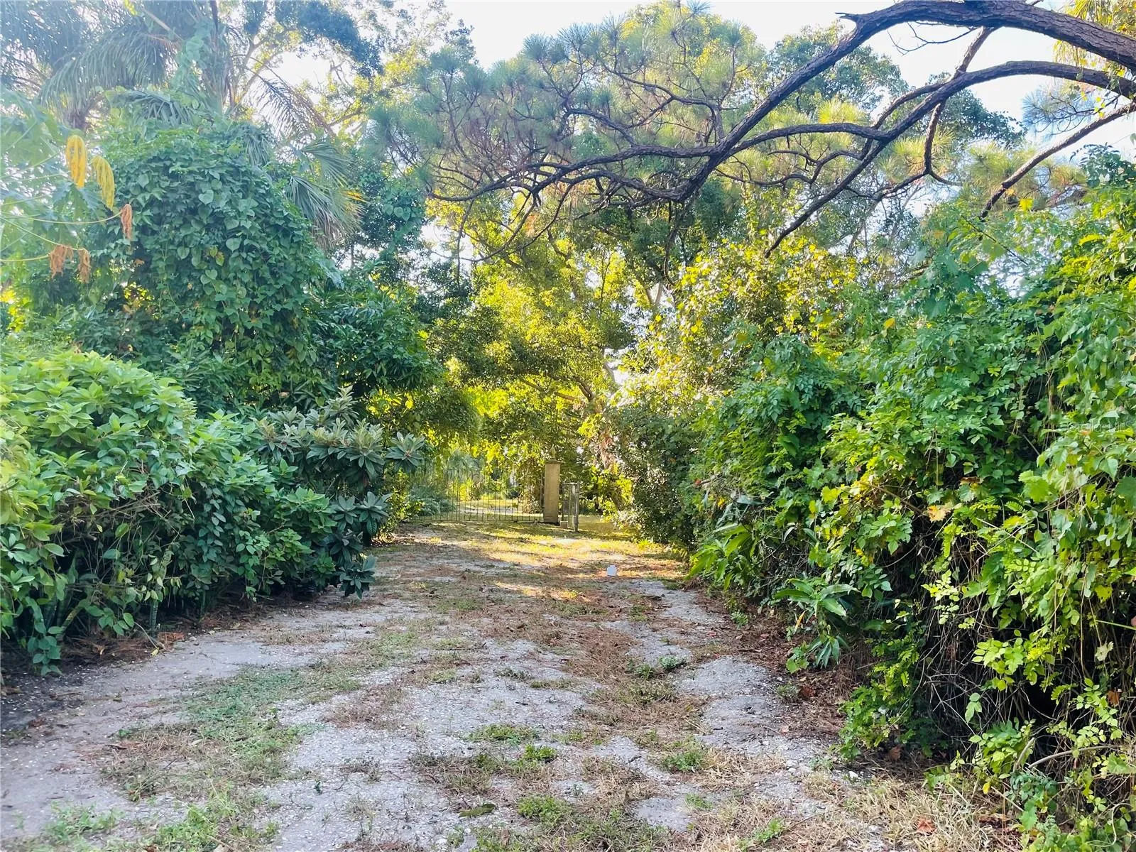 Back gate