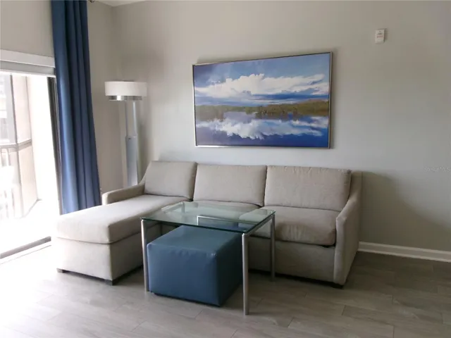 Sleeper sofa in Living room