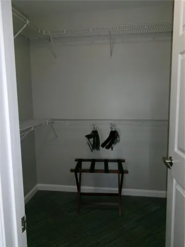 Ample walk-in closets in both bedrooms