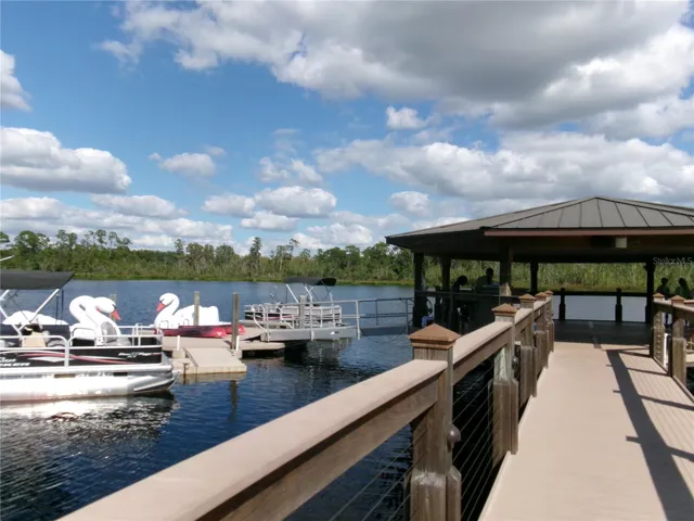 Swan boats and pontoon for water enjoyment