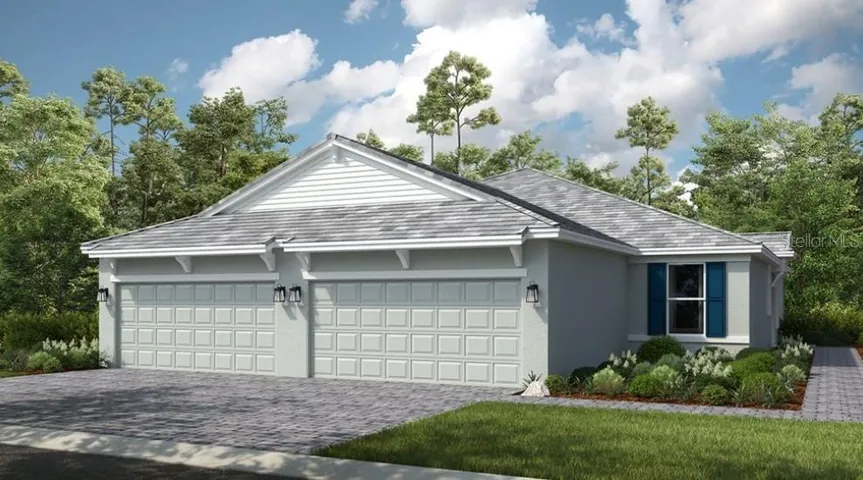 The Ibis ~ Rendering