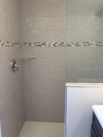 Guest bathroom's walk-in shower