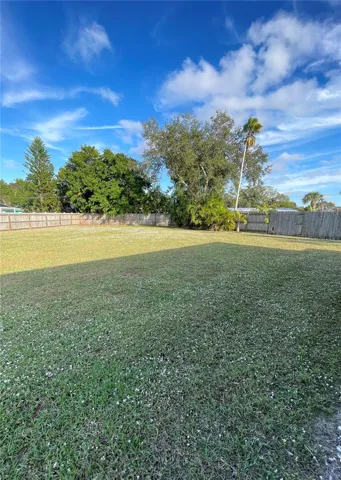 Backyard view
