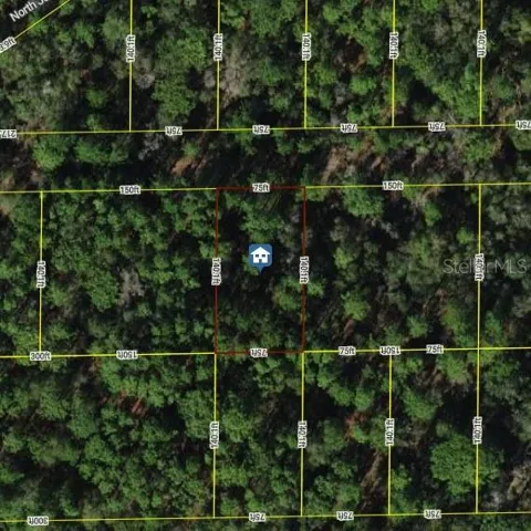 Satellite Photo From iMapp