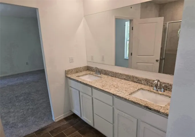 Primary Bath Vanity