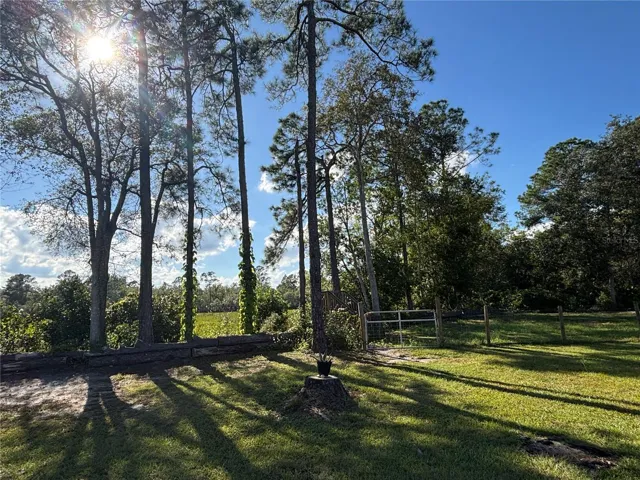 Next to Quiet Prairie