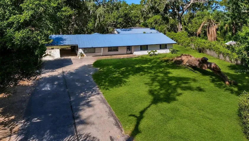 Aerial view, with virtual Spring Grass