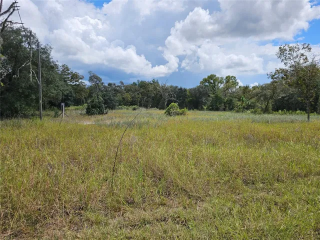 View from road