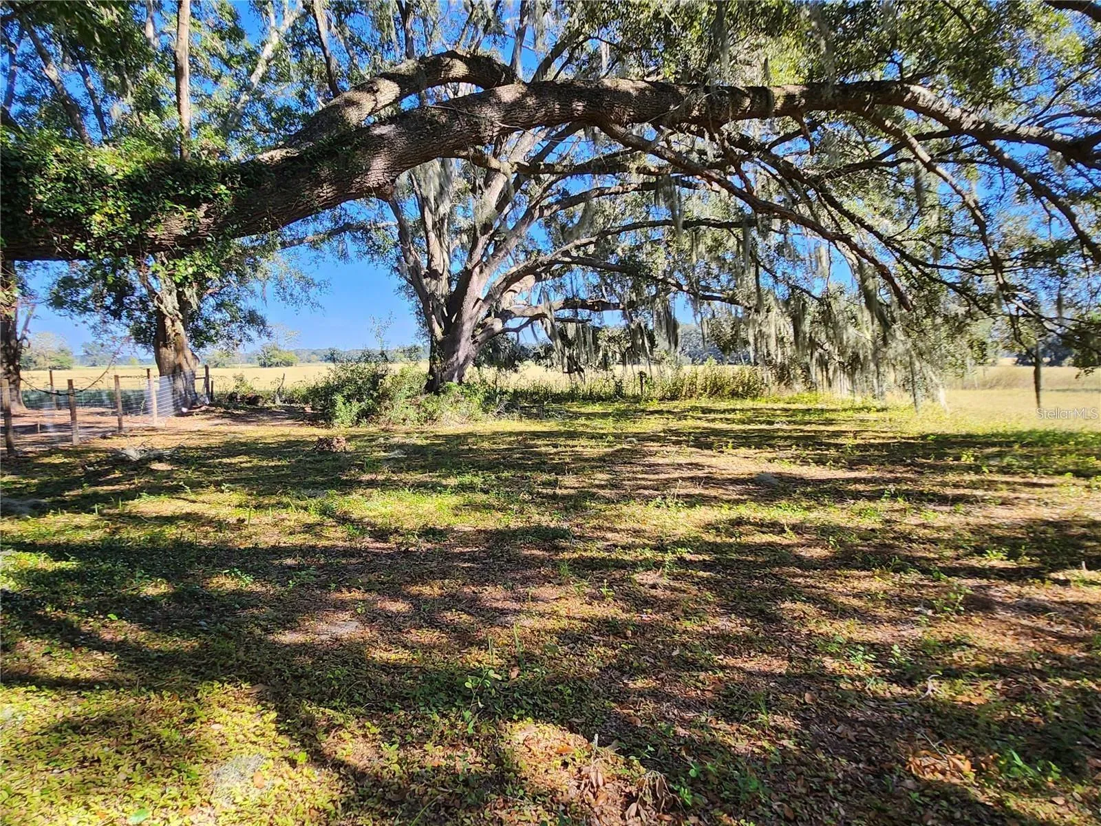 View from Inside the Lot Facing East