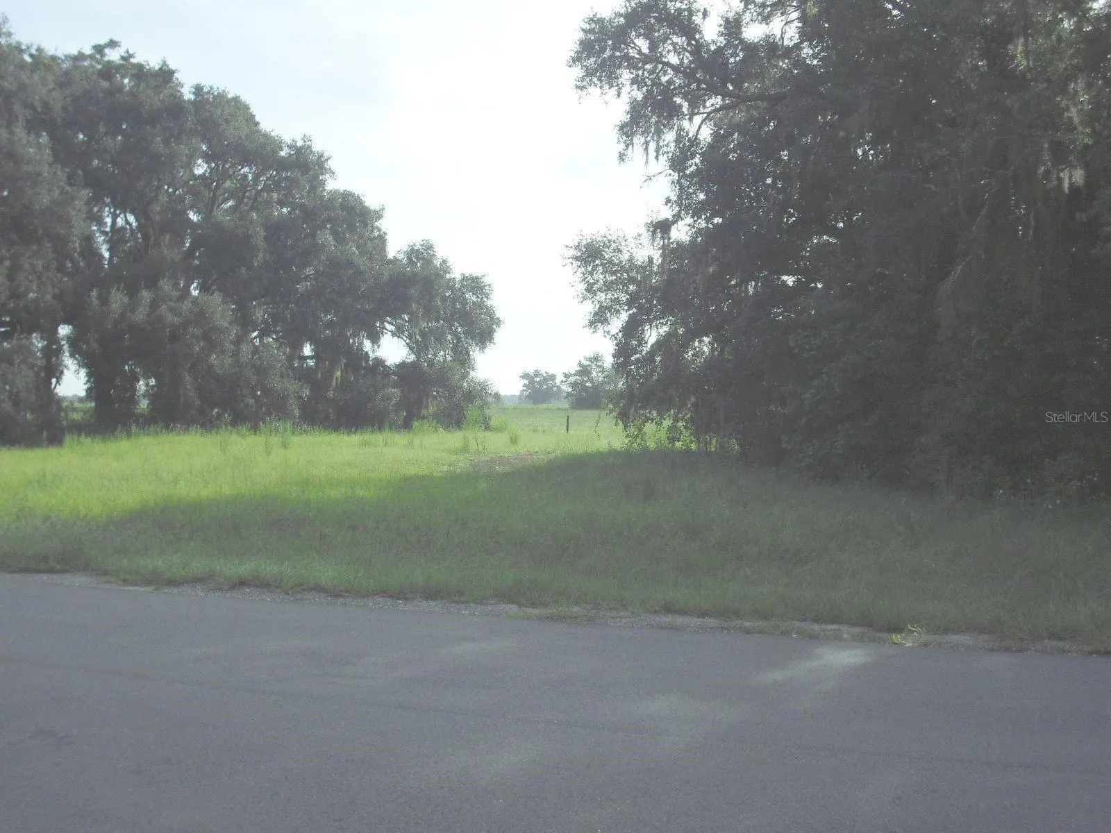 Center View