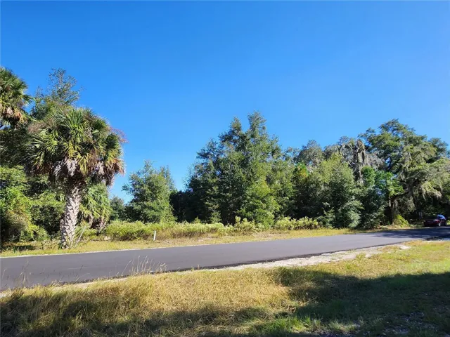 Lot View from SW 175th Ct