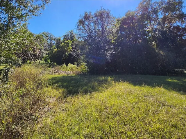 View from Inside the Lot
