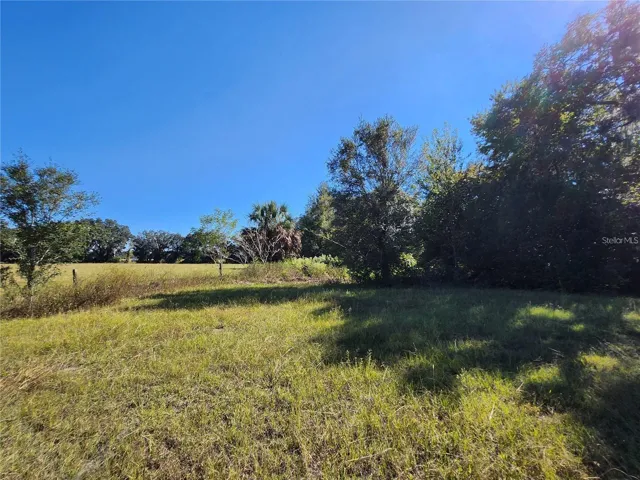 View from Inside the Lot Facing East