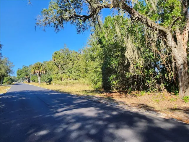 Heading North on SW 175th Ct_Lot on Right