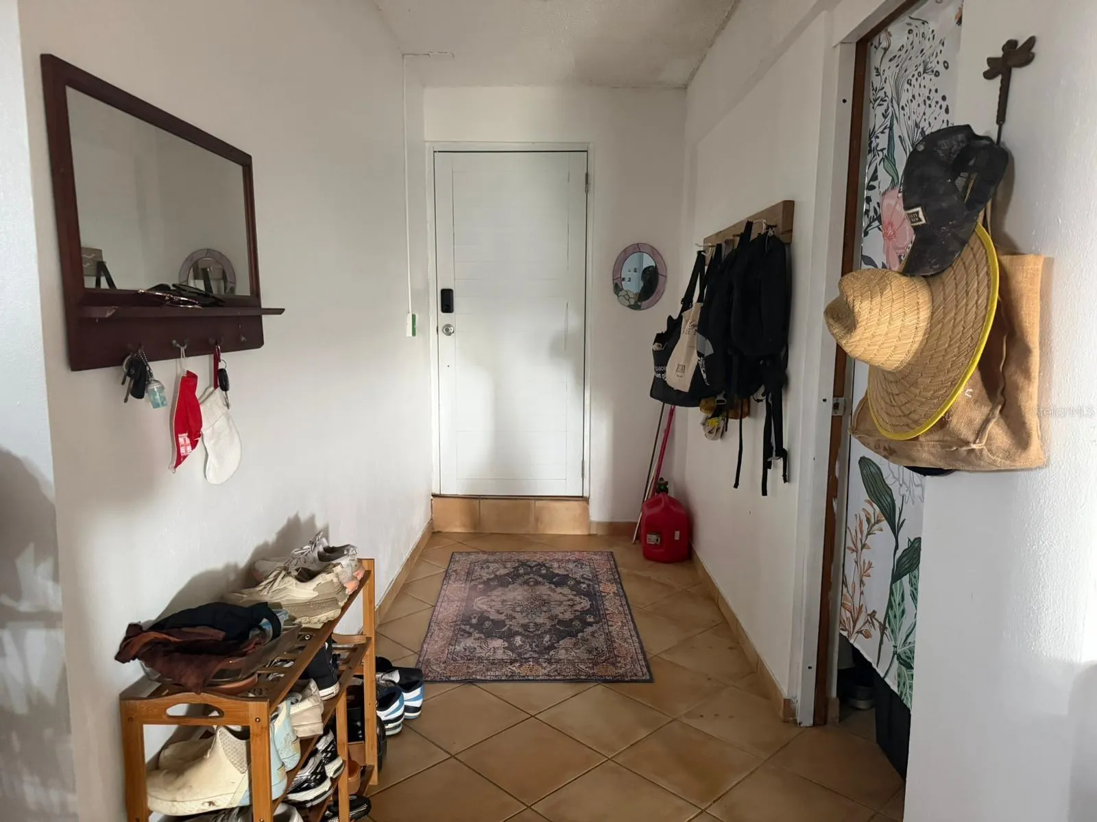 Downstairs Apartment Entrance Foyer