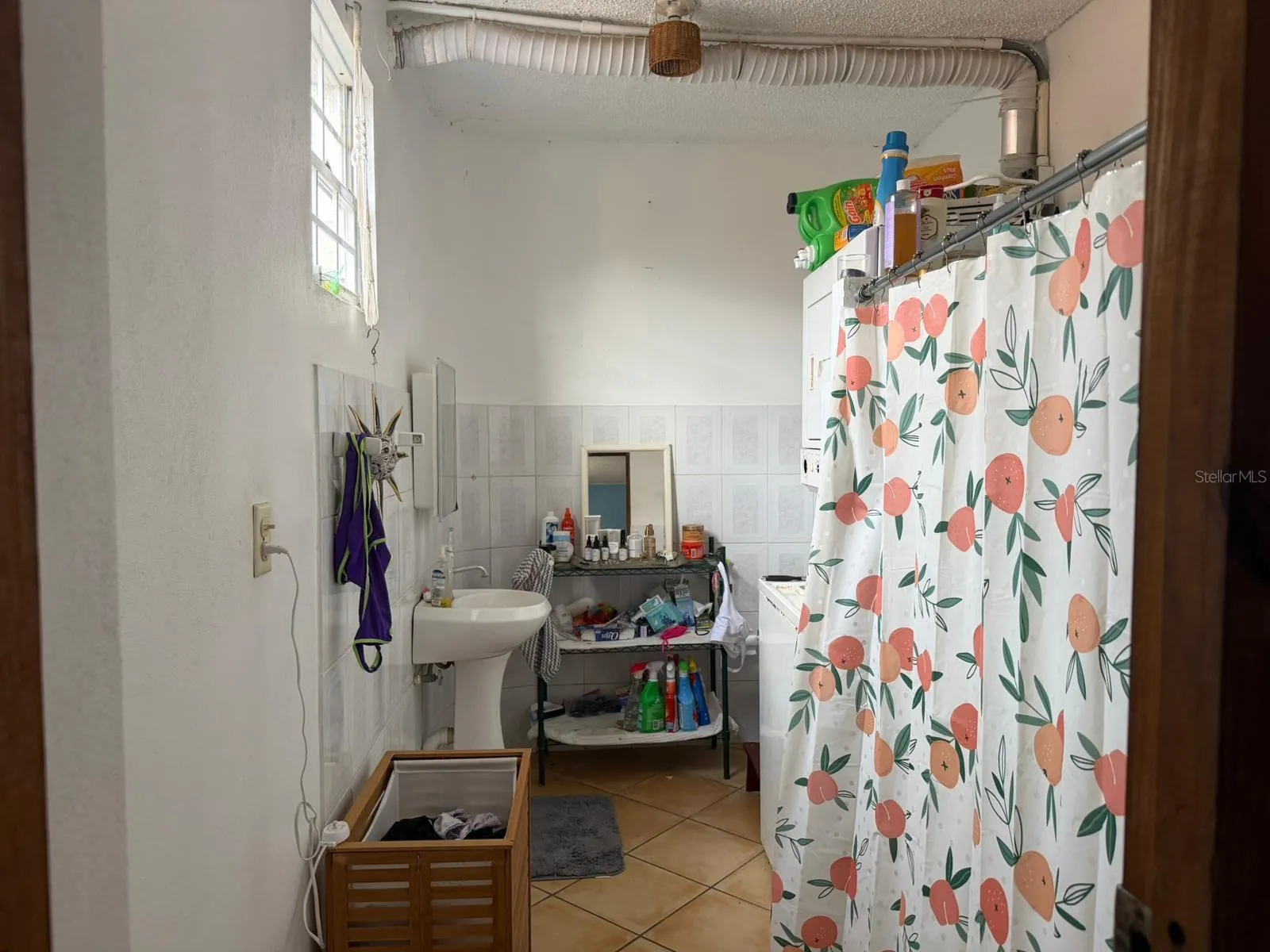 Downstairs Apartment Bathroom