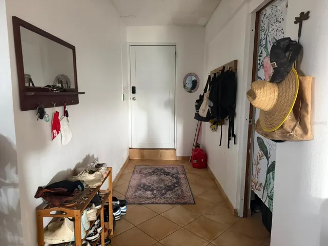 Downstairs Apartment Entrance Foyer