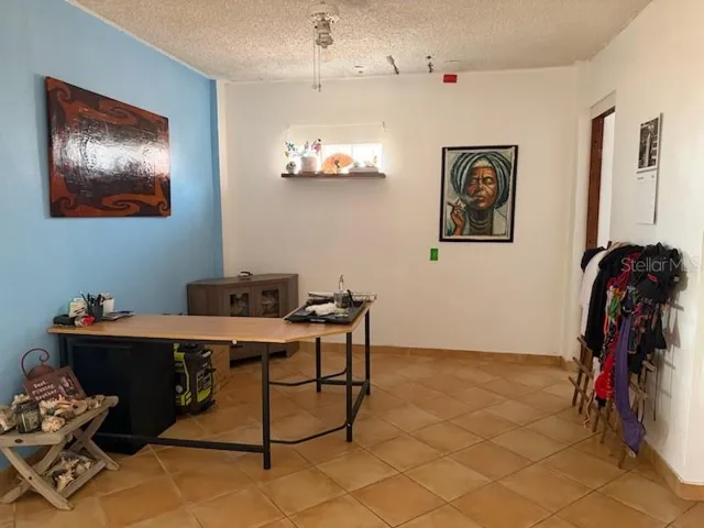 Downstairs Apartment Dining/Office