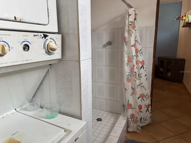 Downstairs Apartment Bathroom