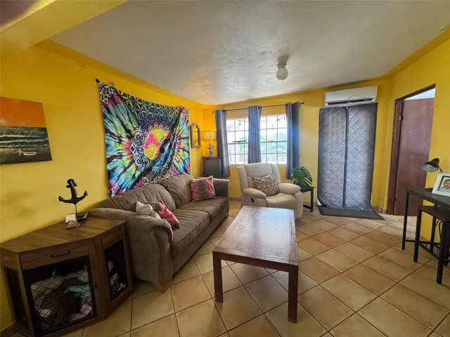 Upstairs Apartment Living Room
