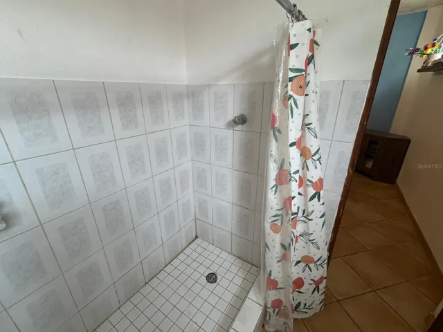 Downstairs Apartment Bathroom