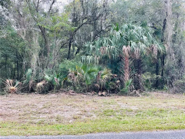4.05 wooded acres