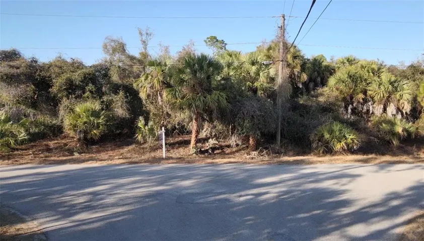 Front of Lot 5 & 6 Countess Avenue