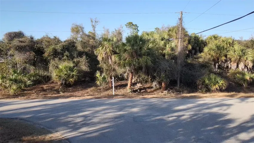 Front of Lot 5 & 6 Countess Avenue