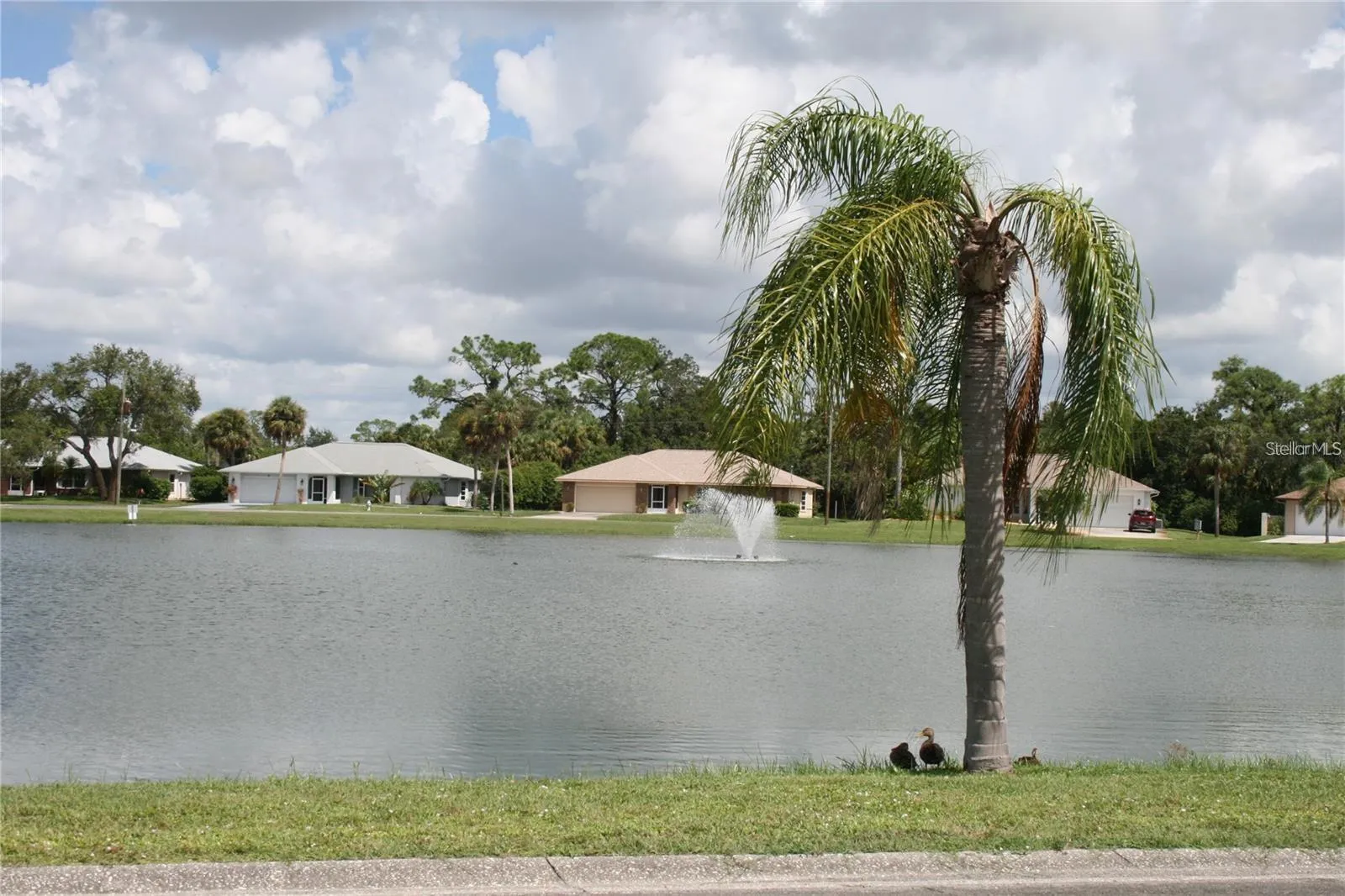 Pond to walk around