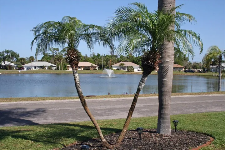 Community Pond