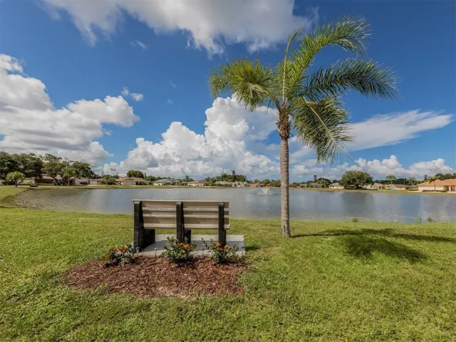 place to sit and watch ducks