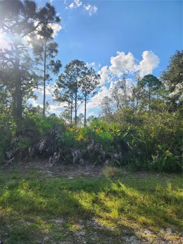 Wooded Lot