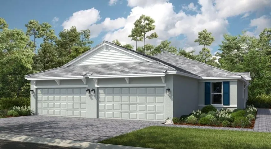 The Ibis - Rendering