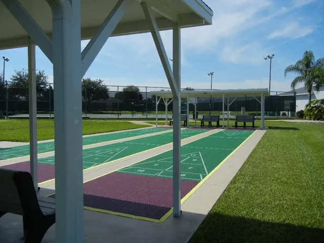 Shuffle Board Court