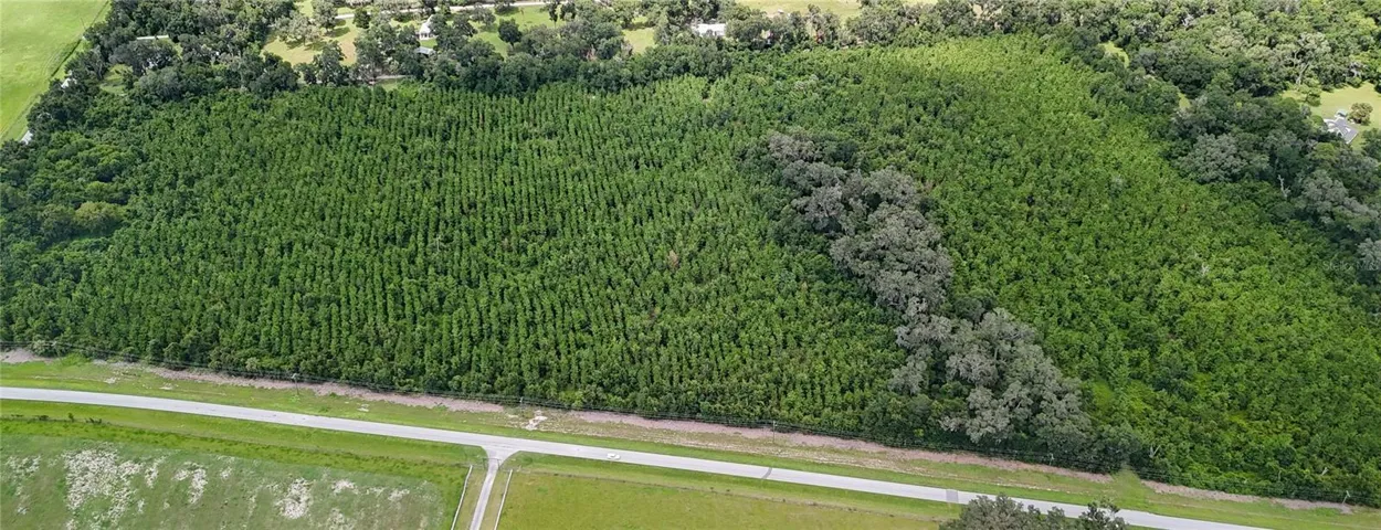 Birds eye view from the south.