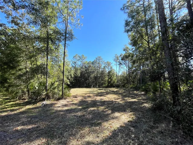 Street View! 6712 W MACOPIN LANE, CRYSTAL RIVER, Florida 34429
