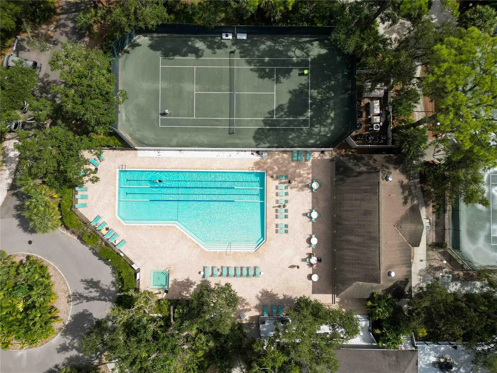 Olympic Pool