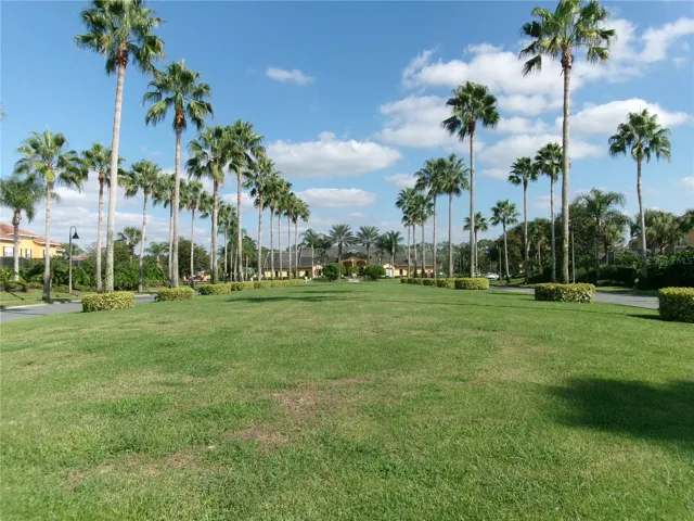 View form the gate