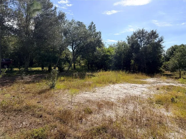 Cleared Lot
