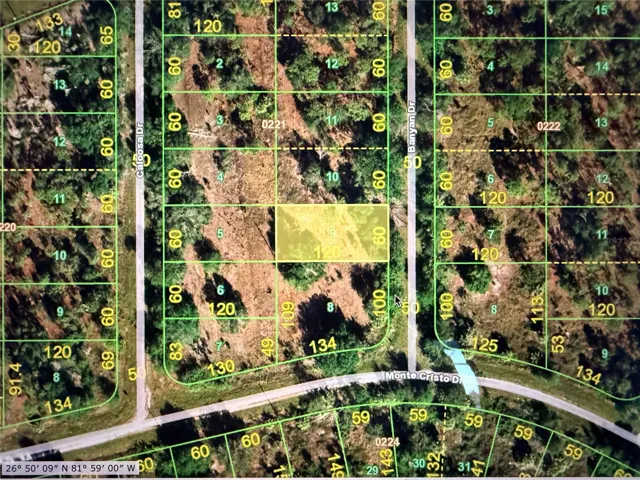 Cleared Lot