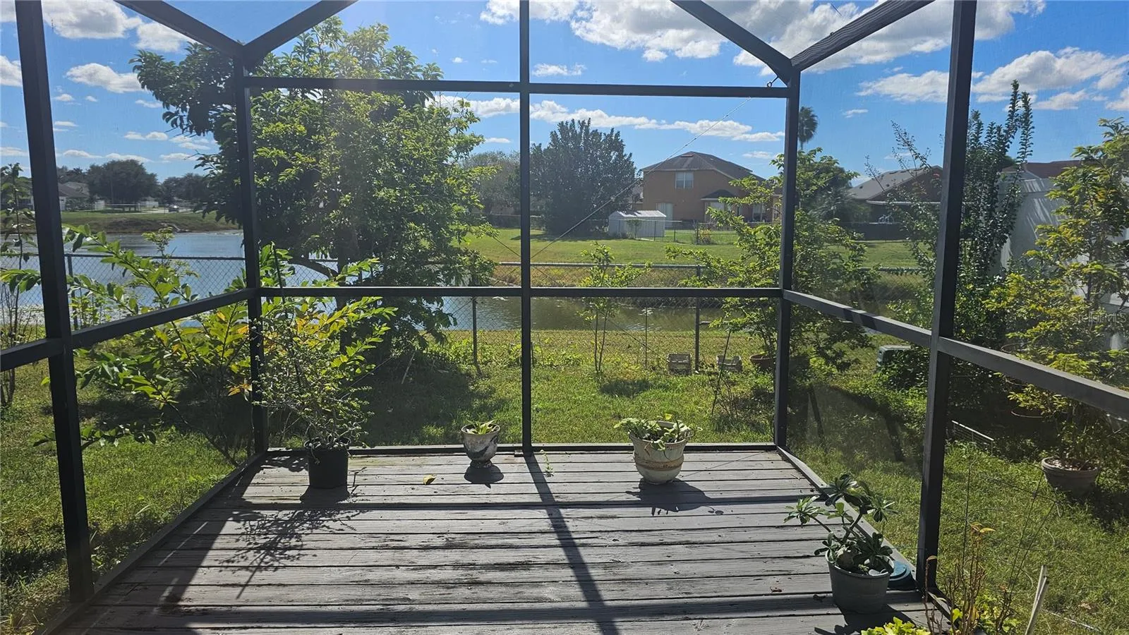 Yard view 1
