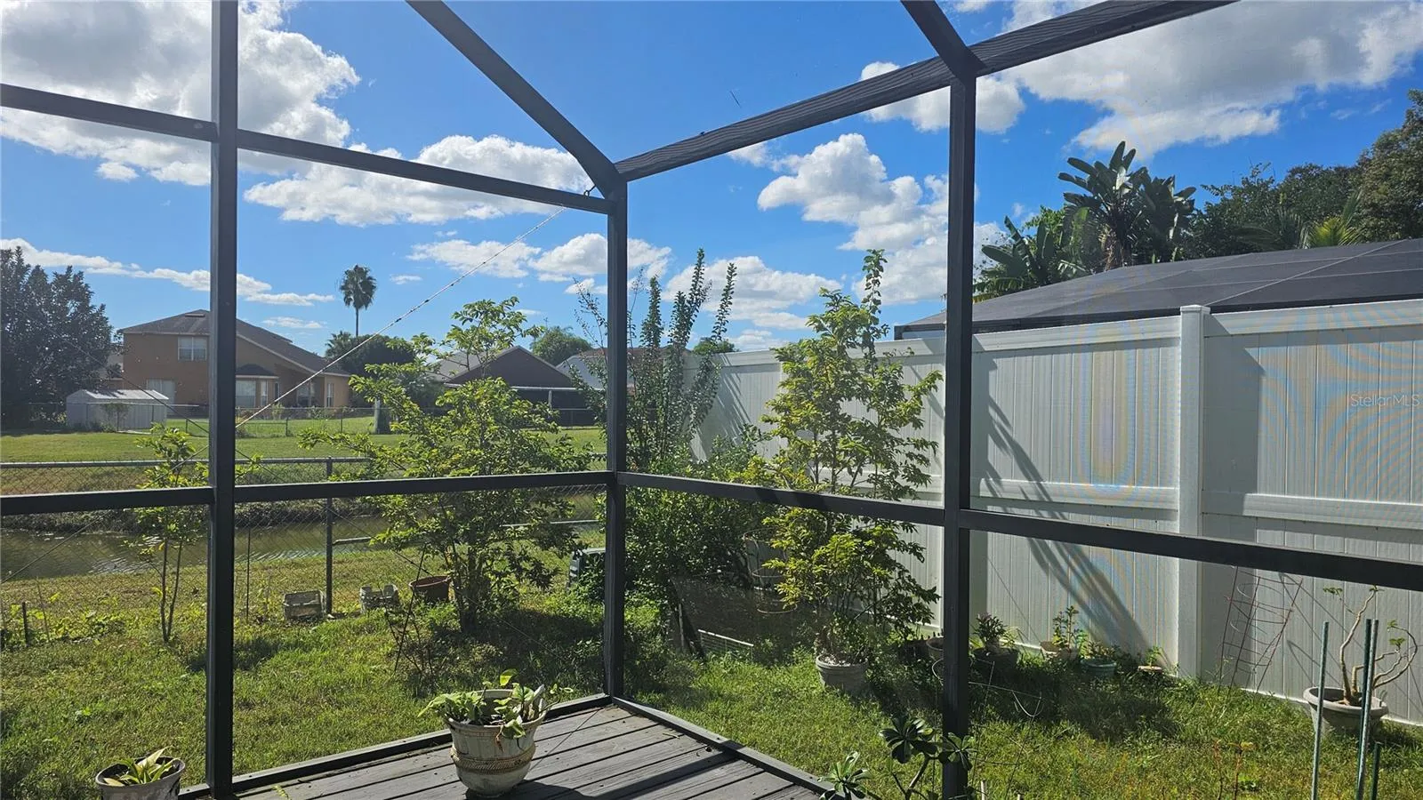 Yard view 2