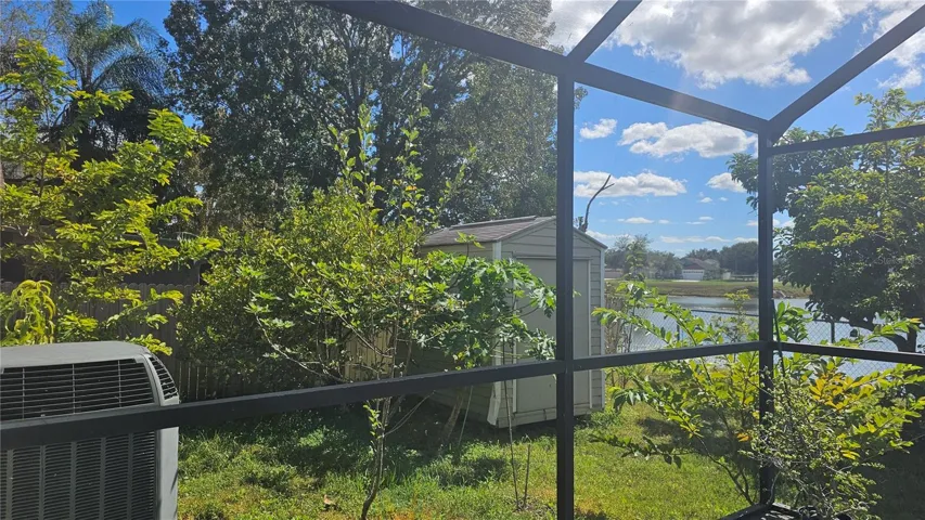 Yard View 3
