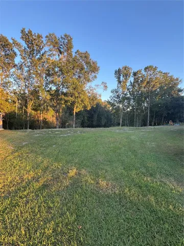 Front Lot View
