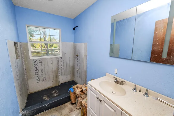 Separate Home-Rental Bathroom in middle of remodel
