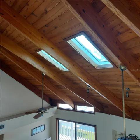 Ceiling w/ Skylights