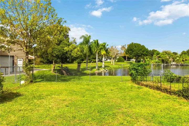Back Yard View